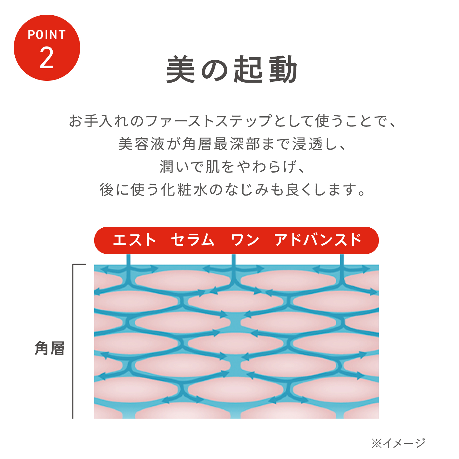 エスト セラム ワン アドバンスド<レフィル> (医薬部外品) 詳細画像 7枚中5枚目