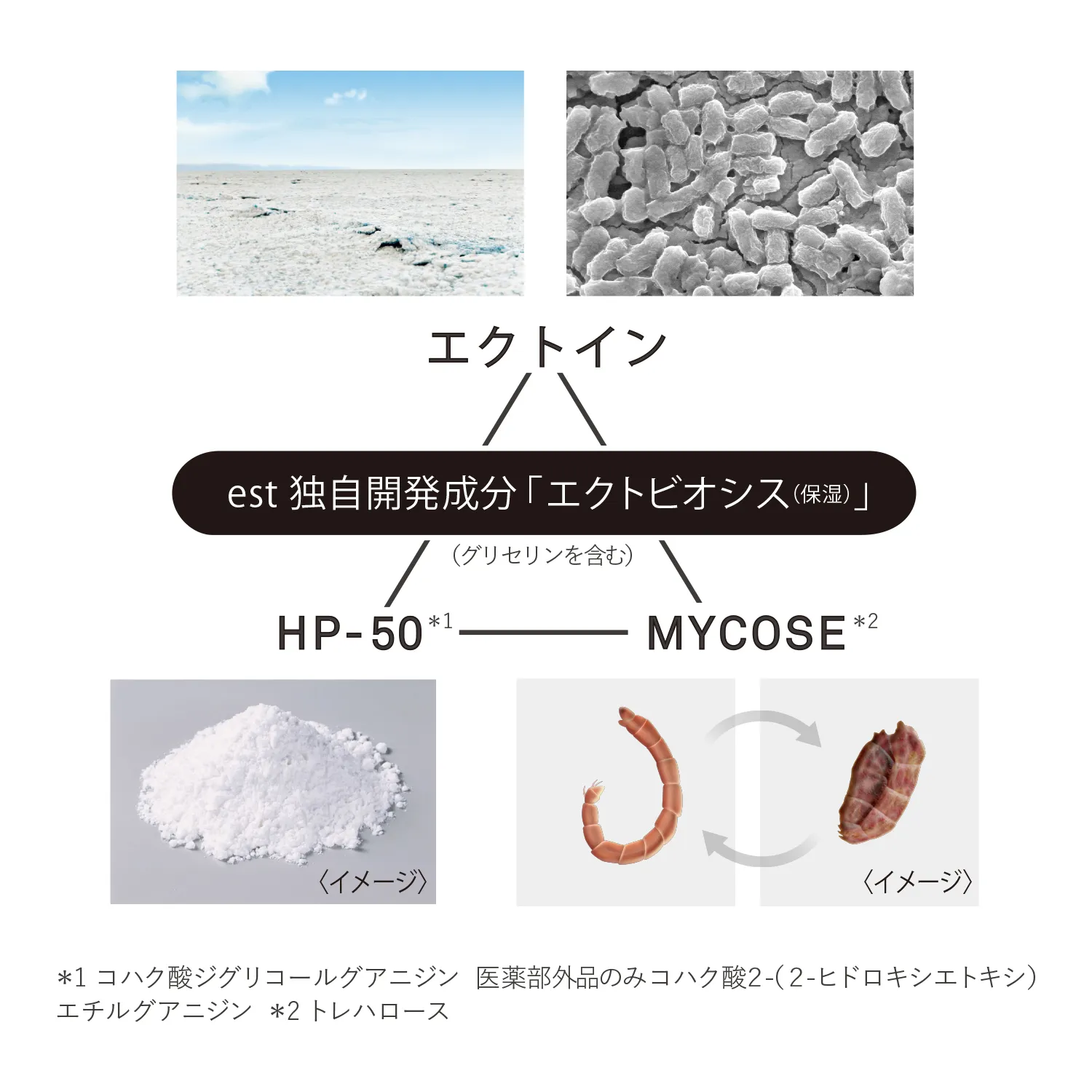 エスト ザ エマルジョン EX B(医薬部外品) 詳細画像 8枚中4枚目