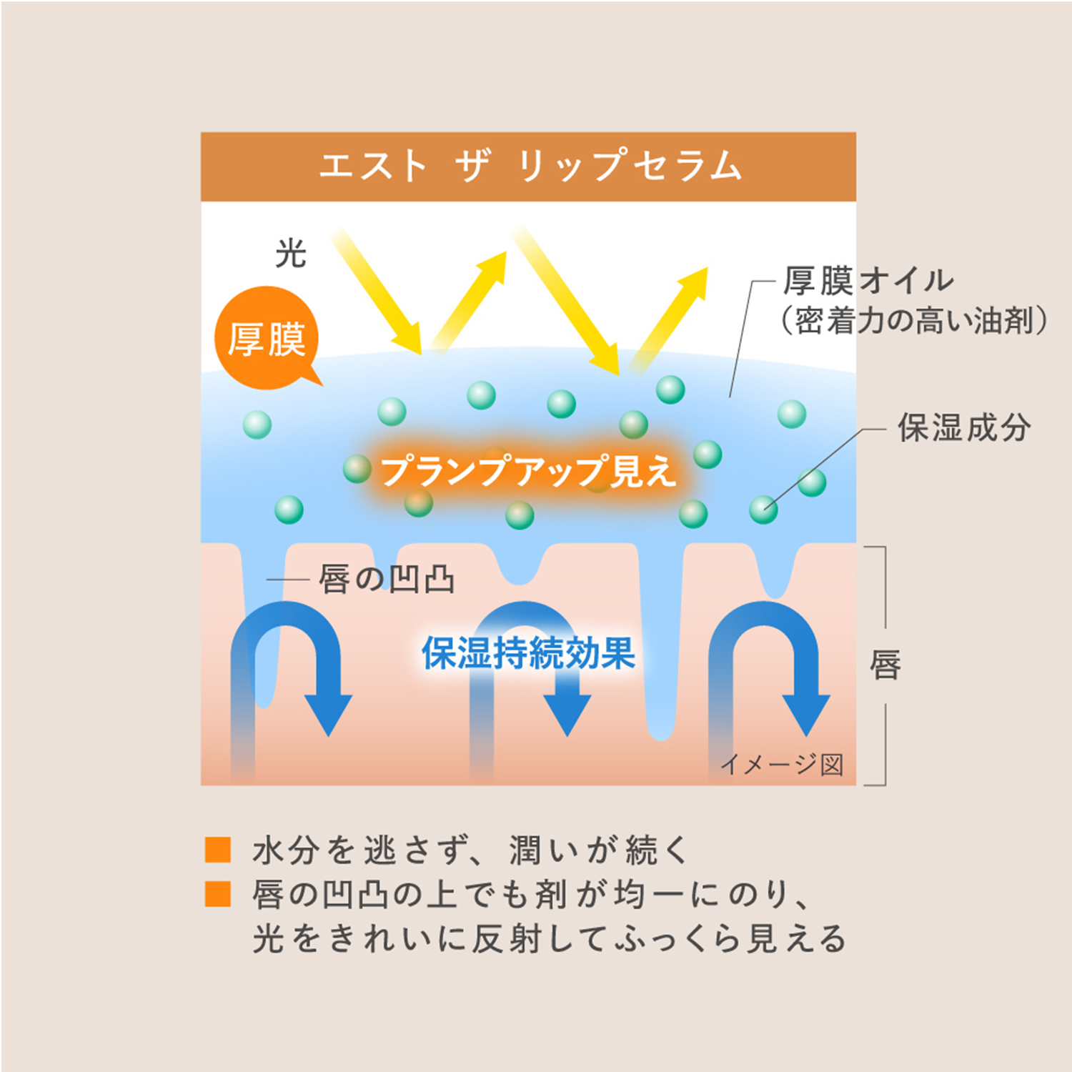 エスト ザ リップセラム 詳細画像 6枚中5枚目