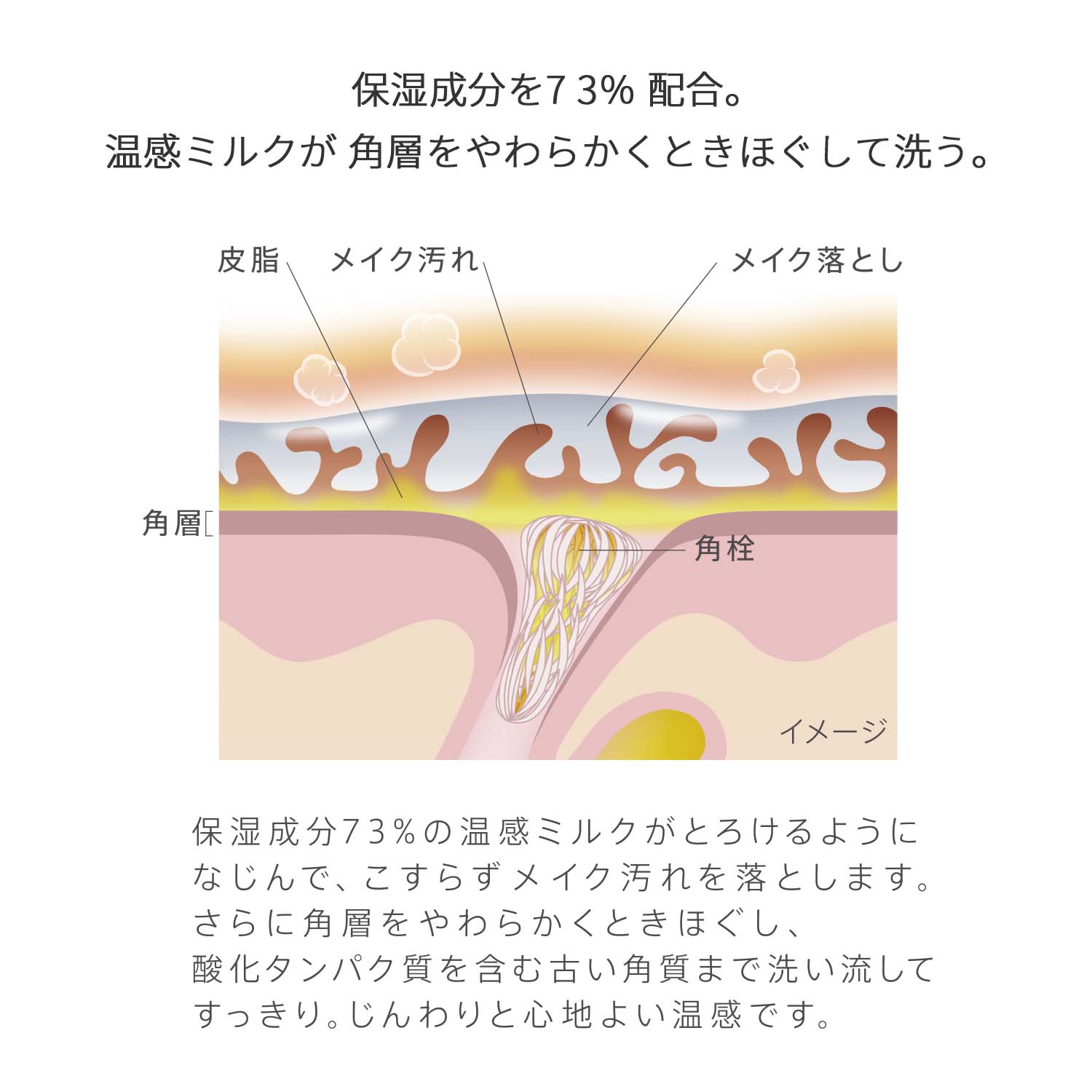 エスト クラリファイイング クレンジング ミルク 詳細画像 7枚中4枚目