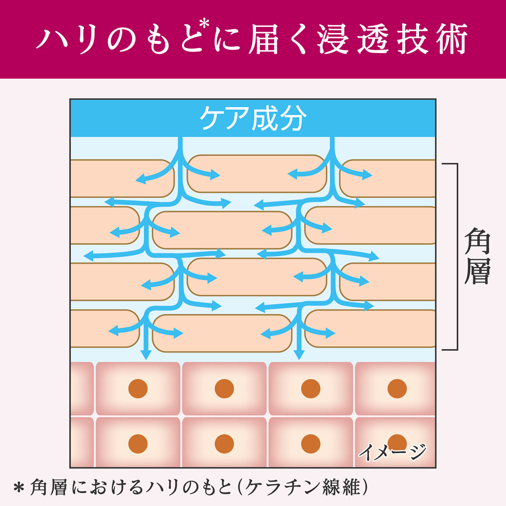 エスト アドバンスド エッセンス リフトサポート 詳細画像 5枚中2枚目