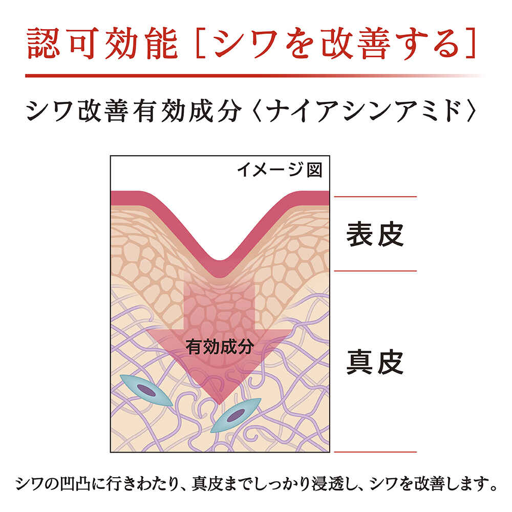 エスト リンクル ソリューション プラス(医薬部外品) 詳細画像 4枚中2枚目