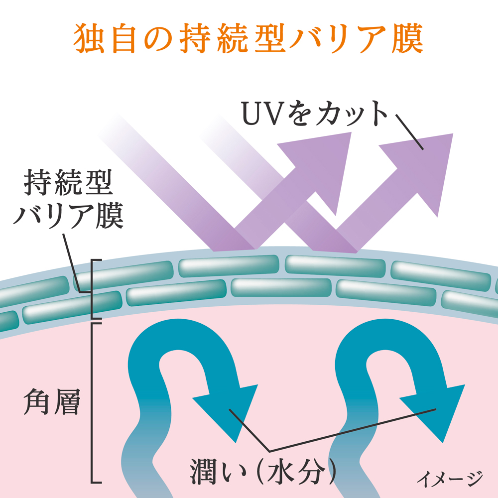 エスト ザ プロテクション SPF50+・PA++++ W-Ⅲ(医薬部外品) 詳細画像 4枚中2枚目