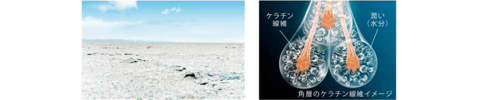 保湿力をジェリーに