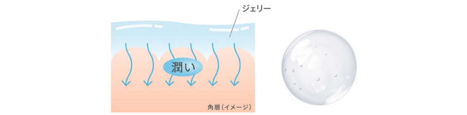 保湿力をジェリーに